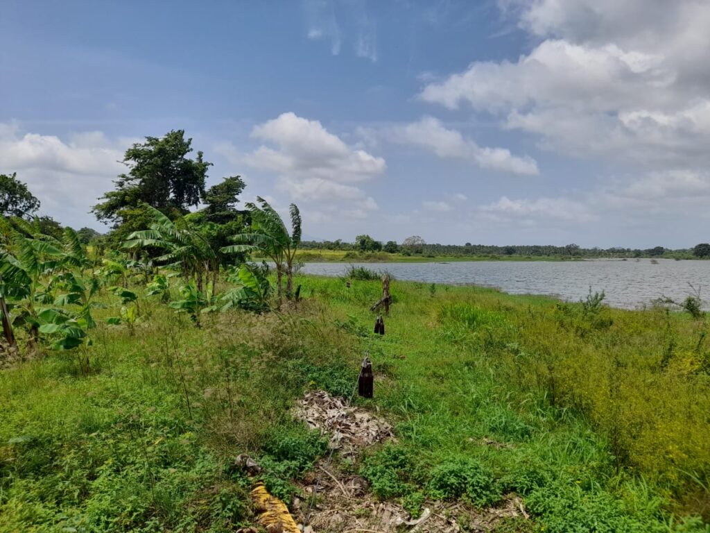 | හක්වටුණාව ජලාශයේ පිටිය වගා කටයුතු සඳහා යොදාගෙන ඇති ආකාරය